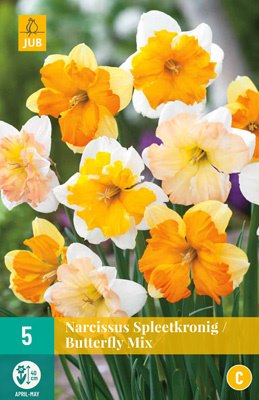 Narcissus ”Butterfly-blandning” (5 lökar !!) Exklusiv!